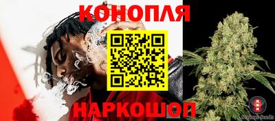гашик Краснодар